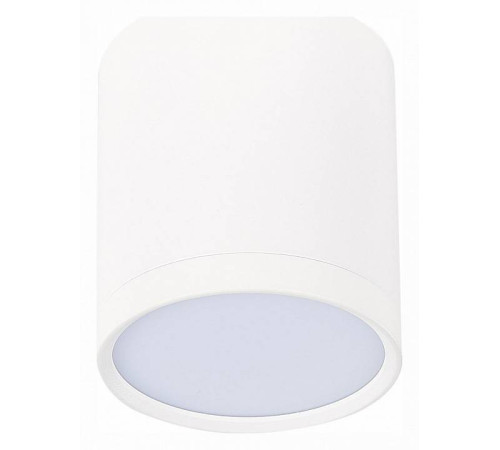 Накладной светильник ST-Luce Rene ST113.532.05