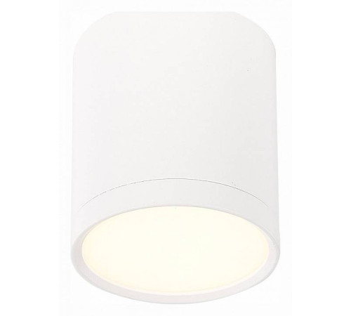 Накладной светильник ST-Luce Rene ST113.532.05