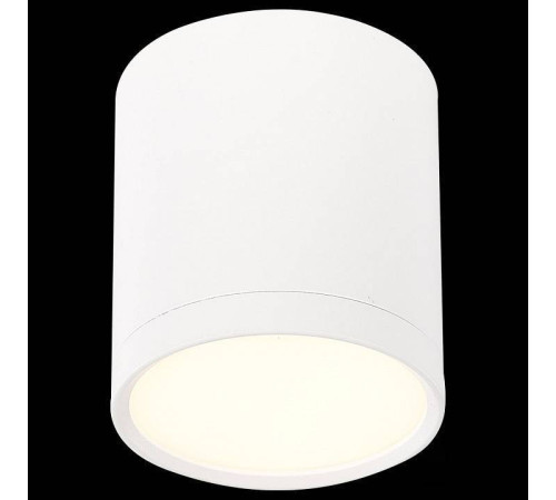 Накладной светильник ST-Luce Rene ST113.532.05