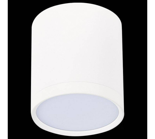 Накладной светильник ST-Luce Rene ST113.532.05