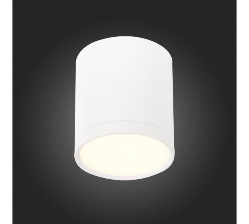 Накладной светильник ST-Luce Rene ST113.532.05