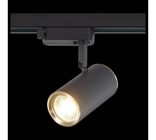 Светильник на штанге ST-Luce Cromi ST301.436.01