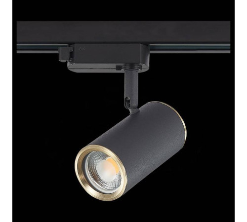 Светильник на штанге ST-Luce Cromi ST301.436.01