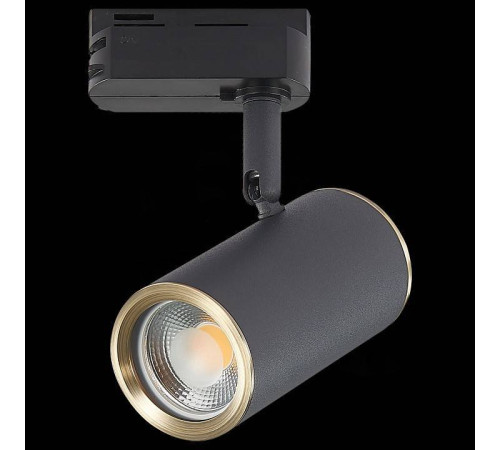 Светильник на штанге ST-Luce Cromi ST301.436.01