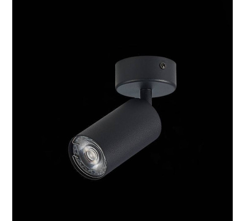 Спот ST-Luce Dario 1xGU10 ST303.402.01