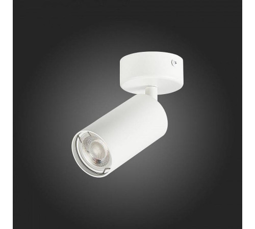 Спот ST-Luce Dario ST303.502.01