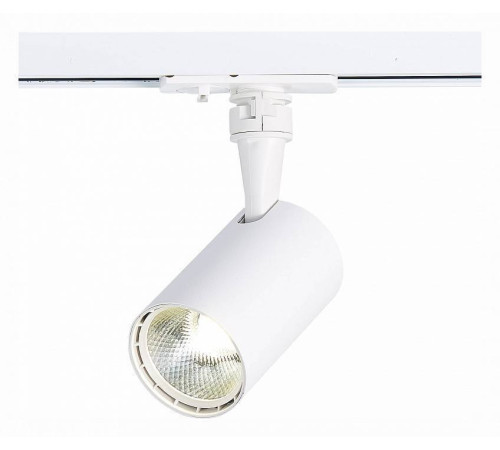 Светильник на штанге ST-Luce Cami ST351.546.10.36