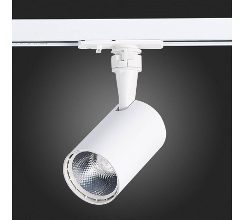 Светильник на штанге ST-Luce Cami ST351.546.10.36