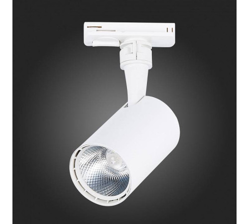 Светильник на штанге ST-Luce Cami ST351.546.10.36