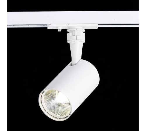 Светильник на штанге ST-Luce Cami ST351.546.10.36