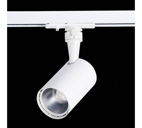 Светильник на штанге ST-Luce Cami ST351.546.10.36