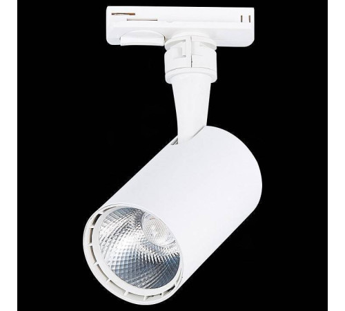 Светильник на штанге ST-Luce Cami ST351.546.10.36