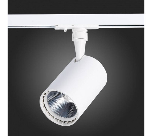 Светильник на штанге ST-Luce Cami ST351.546.15.36