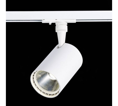 Светильник на штанге ST-Luce Cami ST351.546.15.36