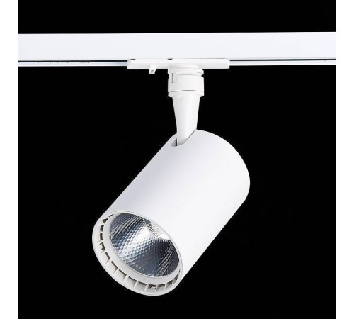 Светильник на штанге ST-Luce Cami ST351.546.15.36