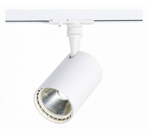 Светильник на штанге ST-Luce Cami ST351.546.20.36