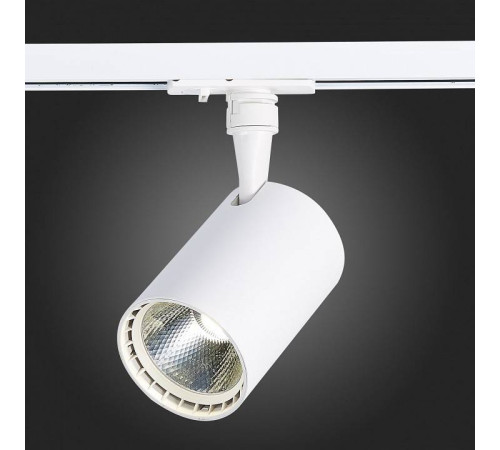 Светильник на штанге ST-Luce Cami ST351.546.20.36