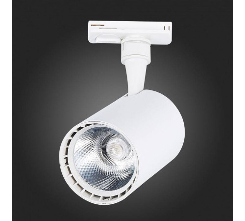 Светильник на штанге ST-Luce Cami ST351.546.20.36