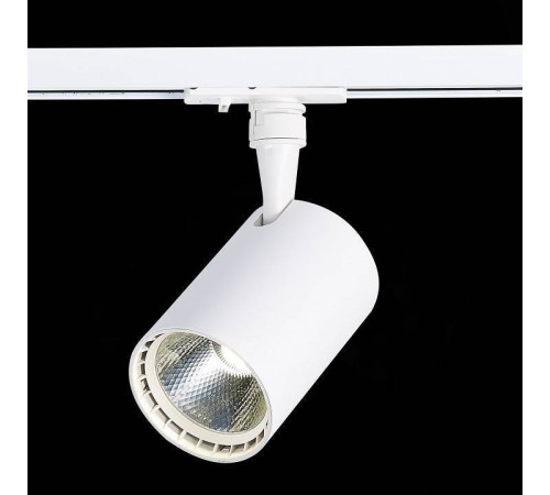 Светильник на штанге ST-Luce Cami ST351.546.20.36