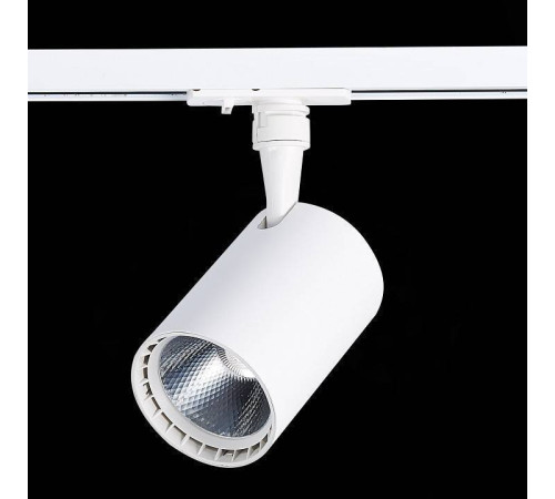 Светильник на штанге ST-Luce Cami ST351.546.20.36