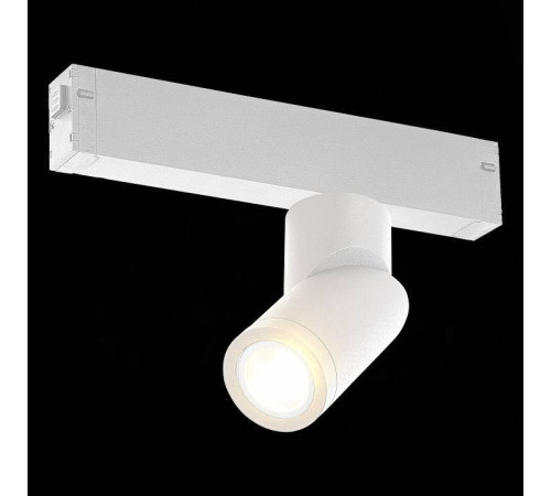 Светильник на штанге ST-Luce SKYLINE 220 ST506.502.01