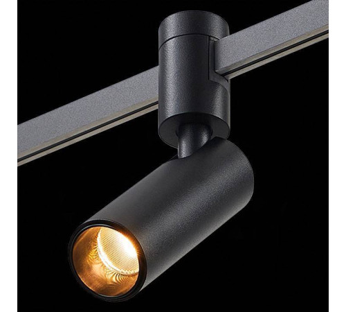 Светильник на штанге ST-Luce FARM ST811.406.05