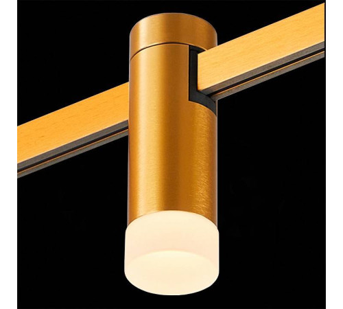 Накладной светильник ST-Luce FARM ST812.206.03