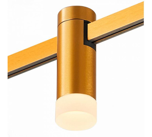 Накладной светильник ST-Luce FARM ST812.206.03