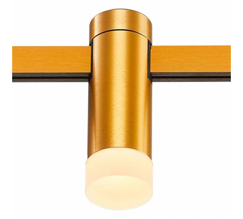 Накладной светильник ST-Luce FARM ST812.206.03