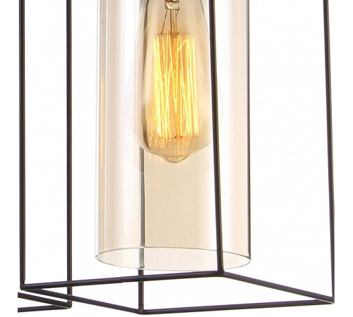 Подвесная люстра TopLight Robyn TL1176H-03BK