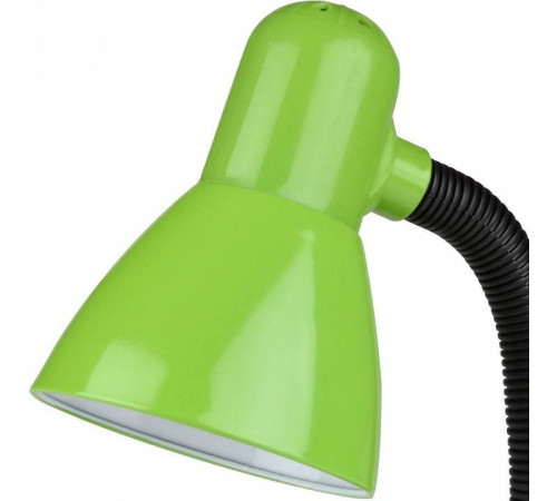 Настольная лампа декоративная Uniel Школьная серия UL-00001808