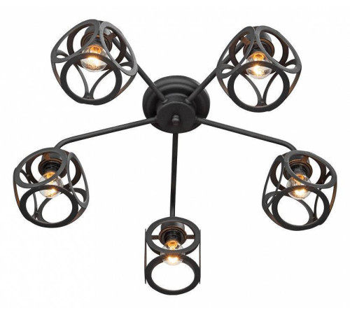 Потолочная люстра Vitaluce V4973 V4973-1/5PL