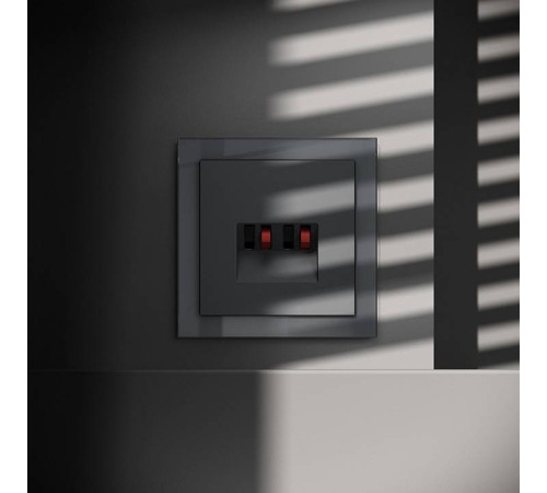 Розетка акустическая без рамки Voltum S70 VLS060307