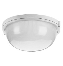 Накладной светильник Wolta  ДПБ03-100-001