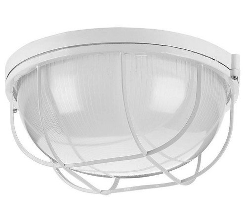 Накладной светильник Wolta ДПБ03-100-002