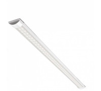 Накладной светильник Wolta  WLFS36W04