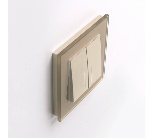 Рамка на 1 пост Werkel Favorit 4 W0011111