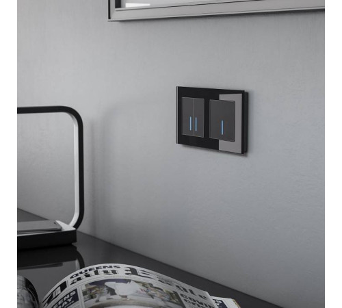 Рамка на 2 поста Werkel Favorit (черный) W0021108