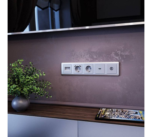 ТВ-розетка без рамки Werkel Серебряный W1184006