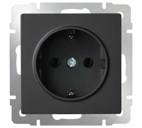 Розетка с заземлением и с шторками, без рамки Werkel Черный матовый W1171108