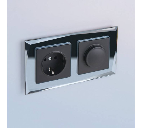 Розетка с заземлением и с шторками, без рамки Werkel Черный матовый W1171108
