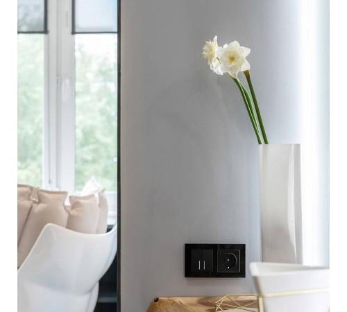 Розетка с заземлением и с шторками, без рамки Werkel Черный матовый W1171108