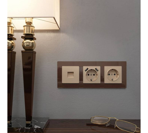 Накладка для розетки телефонной RJ-11 Werkel шампань W1192011