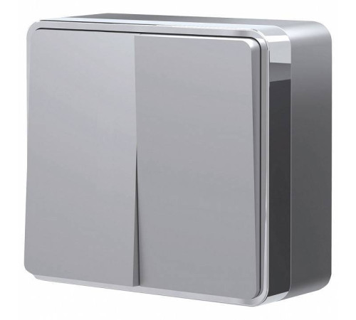Выключатель двухклавишный Werkel Gallant W5020006