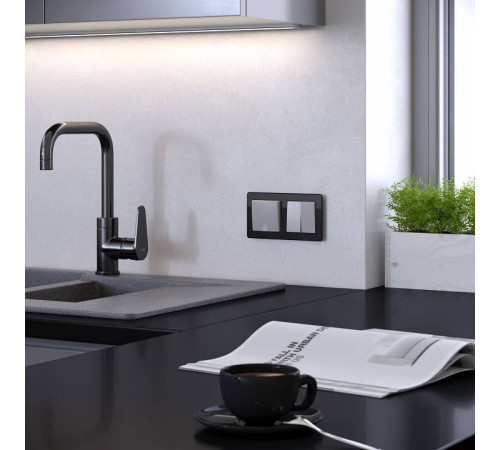 Рамка на 2 поста Werkel Acrylic черный W0022708