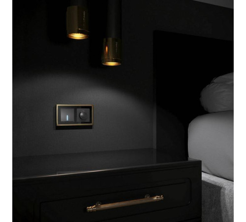 Рамка на 2 поста Werkel Baguette черный/латунь W0022852