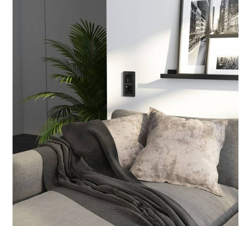 Рамка на 2 поста Werkel Elite черный W0022448