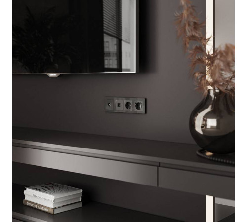 ТВ-розетка без рамки Werkel Графит акрил W1183044