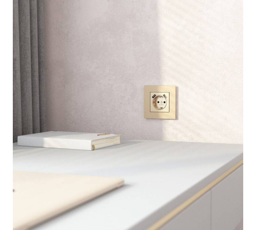 Рамка на 1 пост Werkel AluMax шампань a066333