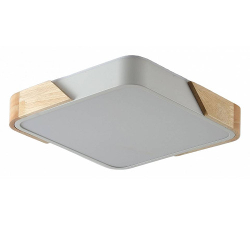 Светильник накладной Zortes ALBERRO ZRS.01285.24
